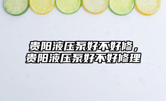 貴陽液壓泵好不好修，貴陽液壓泵好不好修理